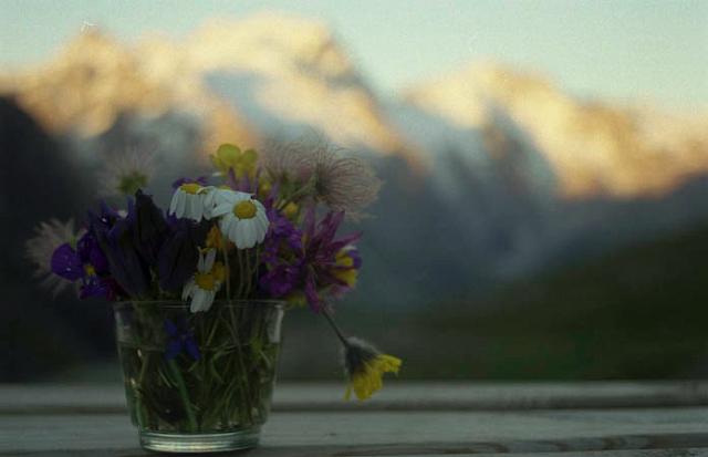 Goléon p01-09.jpg - QUELQUES FLEURS. Petit prélèvement aux prairies colorées qui nous entourent, des bouquets tout simples, composés par Marion, attendent le promeneur sur les tables du refuge. Copyright PiR.
